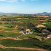 Отель Villa Svetoni Wine Resort, фото 19