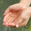 Отель Tozanguchi Onsen, фото 13