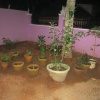 Отель Aabhaa Homestay in Trivandrum, фото 14