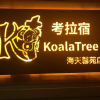 Отель koalatreeh, фото 1