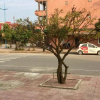 Отель Thien Nhan Hostel, фото 39