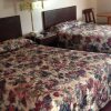 Отель David Crockett Motel, фото 6