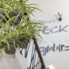 Отель Symbiosis Hostel, фото 20
