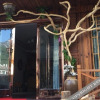 Отель Yandangshan Fengsheng Hotel, фото 23