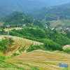 Отель Longji Terrace Binlaiyue Homestay (Jinfoding Cable Car Dian), фото 7
