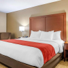 Отель Comfort Inn & Suites Macon North I-75, фото 6