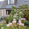 Отель Seashell Cottage, фото 2