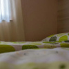 Отель Motel Calypso, фото 23