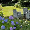 Отель James Pharmacy Bed & Breakfast, фото 15
