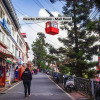 Отель Mussoorie Midview, фото 35
