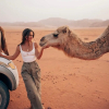 Отель Moon life in Wadi Rum, фото 18