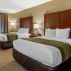 Отель Comfort Inn and Suites, фото 5