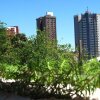 Отель Upfront Lodge Iguassu, фото 13