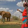 Отель Samburu Serena Safari Lodge, фото 28