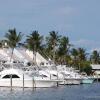 Отель Treasure Cay Beach, Marina & Golf Resort, фото 9