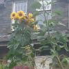Отель The Mount Bed and Breakfast, фото 32