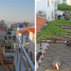 Отель Bozcaada Balci Hotel, фото 20