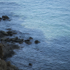 Отель Seaside A Lifestyle Resort - Adults Only, фото 14