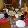 Отель Casa Cristina Guest House, фото 4