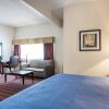 Отель Quality Inn Near Mammoth Mountain Ski Resort, фото 29