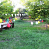 Отель Villas and apartments on a private farm, only 1 km away from the beach!, фото 14