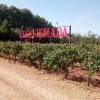 Отель bodega y casa casaquemada, фото 4