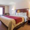 Отель Comfort Inn & Suites Rock Springs - Green River, фото 31