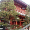 Отель Murasakino Guesthouse, фото 1