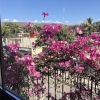 Отель Villas de Todos Santos, фото 18