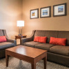 Отель Comfort Inn & Suites, фото 12