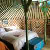 Отель Mill Stream Yurt, фото 3