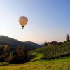 Отель Weingut Winzerzimmer Rothschädl, фото 19