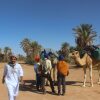 Отель Kasbah Desert Camp, фото 8