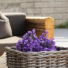 Отель Mountain Lodge Prennanger, фото 12