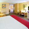 Отель Holiday Inn Chantilly-Dulles Expo Center, an IHG Hotel, фото 6