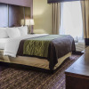 Отель Comfort Inn & Suites Dothan East, фото 7