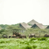 Отель Lake Ndutu Luxury Tented Lodge, фото 31
