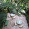 Отель Tropicals of Palm Beach, фото 26