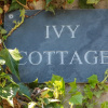 Отель Ivy Cottage, фото 1