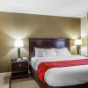 Отель Comfort Suites Freeport, фото 6