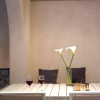 Отель Ionian Horizon Villas, фото 16