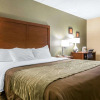 Отель Comfort Inn, фото 5