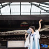 Отель Xi'an Paradise Hotel of Han Dynasty, фото 29