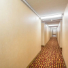 Отель Spacious 1 Br Apartment Of Downtown Toronto Iii, фото 1