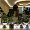 Отель Daocheng Daruiyi Station Homestay, фото 3