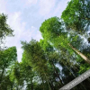 Отель Mogan Mountain Xingfu Hostel, фото 6