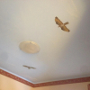 Отель La Villetta B&B, фото 11