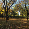 Отель Kaizlovy Park, фото 27