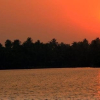 Отель Whispering Mangrove, фото 3