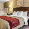 Отель Comfort Inn, фото 10